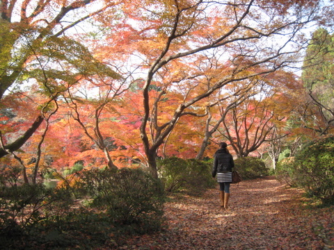 京都へ・・・・・・・(^_^)v