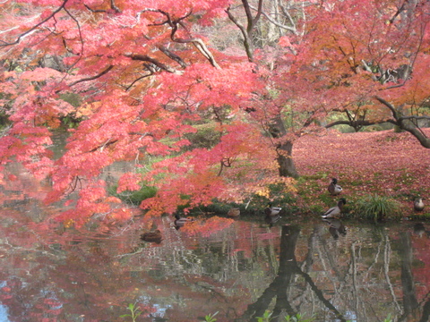 京都へ・・・・・・・(^_^)v