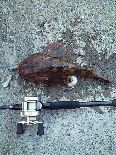本当の悪夢!爆風のカジカの聖地を攻略せよ!