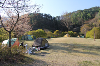 樽尾沢キャンプ場（長野県）