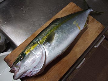頂き物