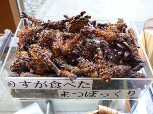 冒険活動センターへ