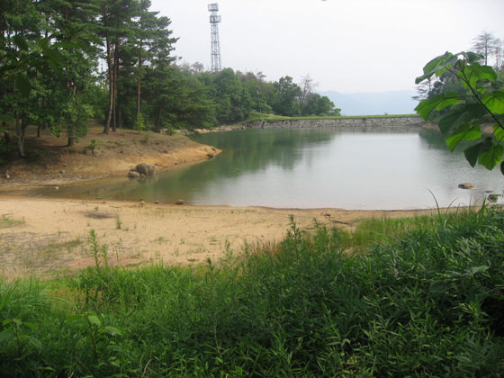亀島キャンプ場