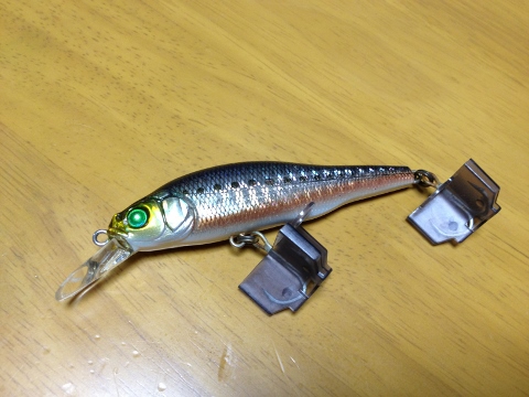 柔らかいエギ竿で振れそうな子たち