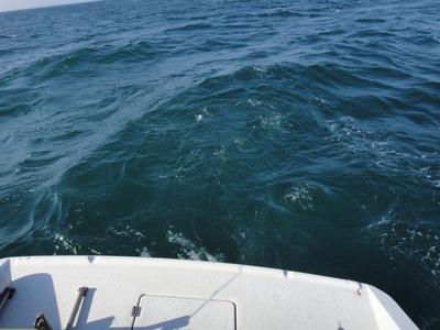 根魚活性高し/イサキもまずまず 根魚活性高し/イサキもまずまず