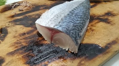脂たっぷり高級ゴマサバで締め鯖ざんまい 脂たっぷり高級ゴマサバで締め鯖ざんまい