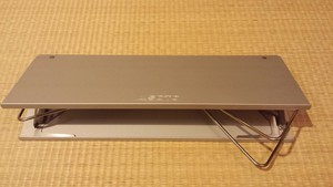 フィールドホッパー(海外の写真も少し) フィールドホッパー(海外の写真も少し)