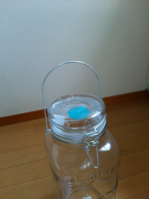 やっぱり買っちゃった♪ やっぱり買っちゃった♪