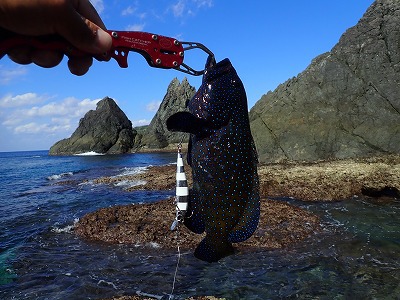 リーフでちょい投げ。 リーフでちょい投げ。