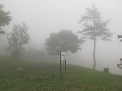 霧の大野アルプス