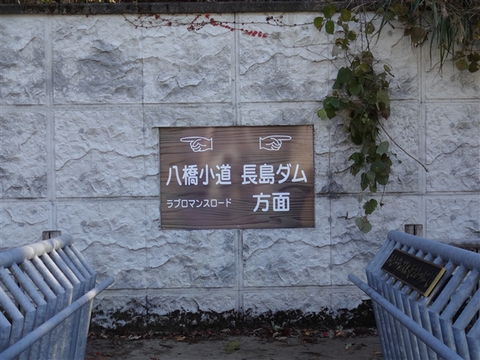 接阻峡温泉周辺