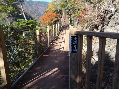 接阻峡温泉周辺