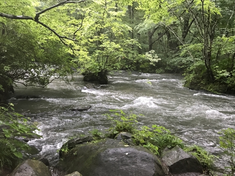 青森に行って来た 4、5 青森に行って来た 4、5