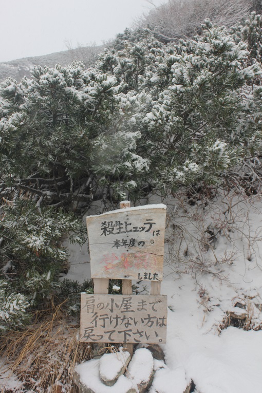 積雪期の槍ヶ岳へ 積雪期の槍ヶ岳へ