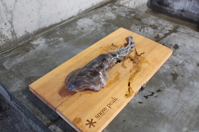 波戸岬(釣り)キャンプ