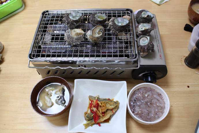 波戸岬(釣り)キャンプ
