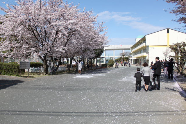 小学校入学式