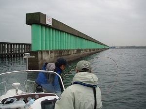 初体験♡シーバス【2008.11.8：東京湾】