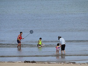 海遊びと潮干狩りに行って来ました