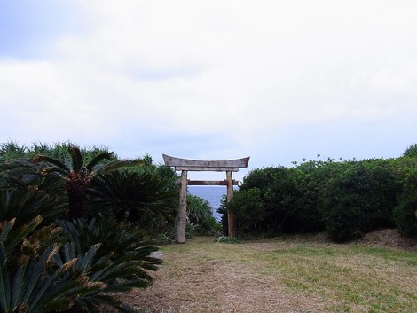 久々に釣れたのだ・・・涙。