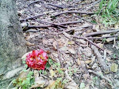 鍋セット コンパクトに 苦心です