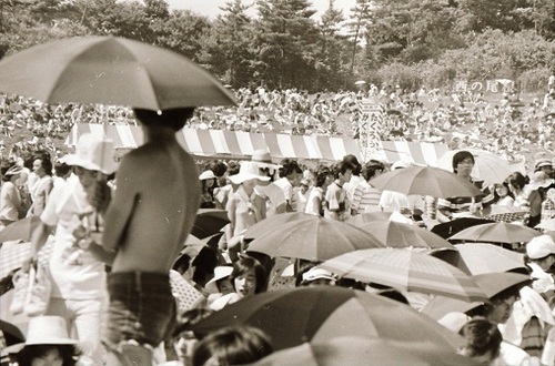 TEEN AGE WILD LIFE 1975