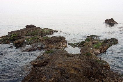 Misty な 朝