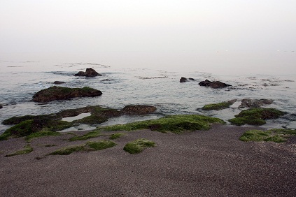 Misty な 朝