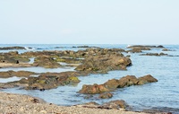 三浦半島より 帰還