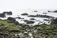 PURAな野営