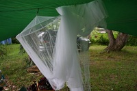結構ロングな夏休み2