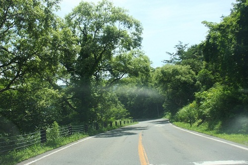 結構ロングな夏休み3 trangia