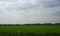結構ロングな夏休み3 trangia