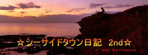 ☆シーサイドタウン日記☆
