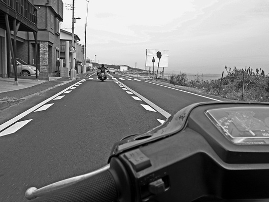 今年始めた スクキャンも もう終わりかな