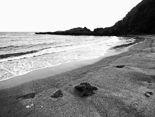 明日はいよいよこの浜に