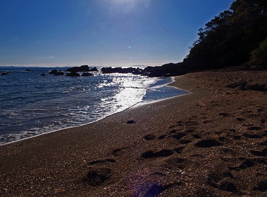 まだ 暖かい 三浦の浜にて