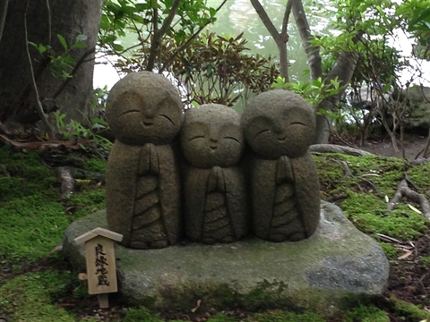 紫陽花が見ごろ