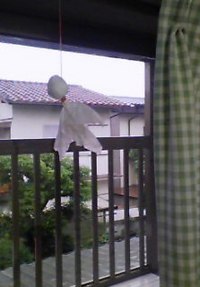 てるてる坊主!