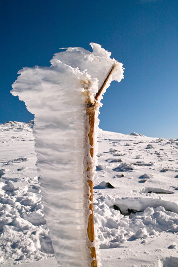 雪洞の中から見えたもの。