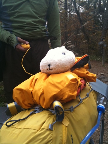 癒やされ登山。