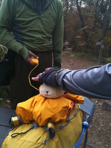 癒やされ登山。