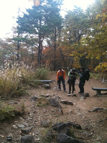 癒やされ登山。