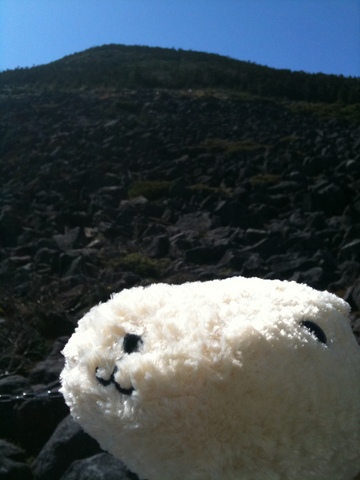 癒やされ登山。
