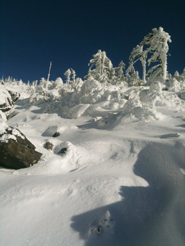 北ヤツ雪遊び。