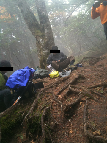 癒やされ登山。