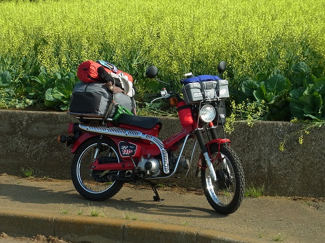 ~そよ風にのって~ Spring Camp in MIURA