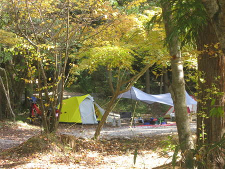 大きい秋見つけたin道志の森キャンプ場(11月6~7日)
