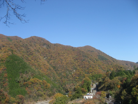 ~道志の森でまったり~