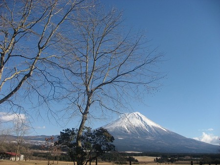 2010年初キャンプ (No.3)